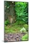 Wood Mount
