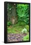 Essential Black