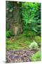 Wood Mount
