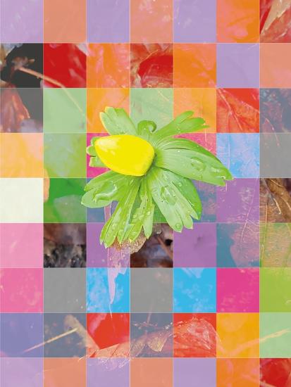 Photographic Print, , large
