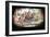 Hannibal and His Army Crossing the Alps, 218 BC-null-Framed Premium Giclee Print