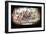 Hannibal and His Army Crossing the Alps, 218 BC-null-Framed Giclee Print