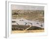 Hannibal, Missouri - Panoramic Map-Lantern Press-Framed Art Print