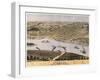 Hannibal, Missouri - Panoramic Map-Lantern Press-Framed Art Print