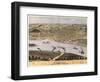 Hannibal, Missouri - Panoramic Map-Lantern Press-Framed Art Print