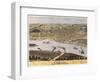 Hannibal, Missouri - Panoramic Map-Lantern Press-Framed Art Print