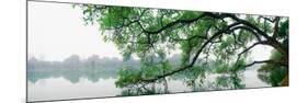 Hanoi Ho Guom Lake-Nhiem Hoang The-Mounted Giclee Print