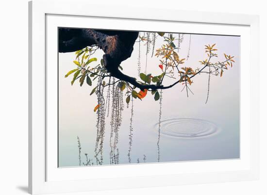 Hanoi Water Ripple-Nhiem Hoang The-Framed Giclee Print