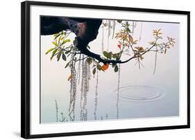 Hanoi Water Ripple-Nhiem Hoang The-Framed Giclee Print