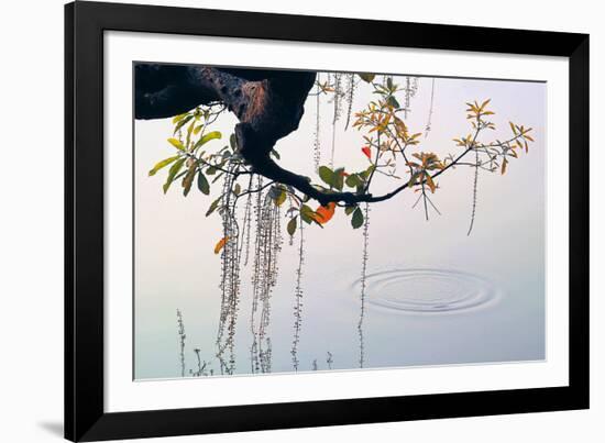 Hanoi Water Ripple-Nhiem Hoang The-Framed Giclee Print