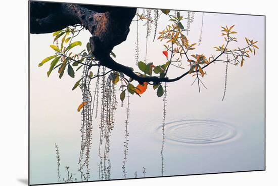 Hanoi Water Ripple-Nhiem Hoang The-Mounted Giclee Print