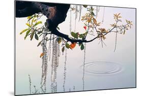 Hanoi Water Ripple-Nhiem Hoang The-Mounted Giclee Print