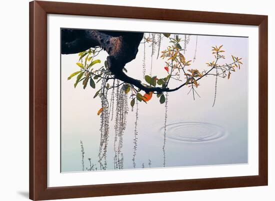 Hanoi Water Ripple-Nhiem Hoang The-Framed Giclee Print