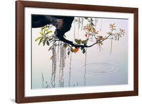 Hanoi Water Ripple-Nhiem Hoang The-Framed Giclee Print