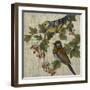Hanover Birds I-Chariklia Zarris-Framed Art Print