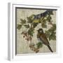 Hanover Birds I-Chariklia Zarris-Framed Art Print