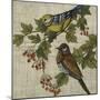 Hanover Birds I-Chariklia Zarris-Mounted Art Print