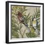 Hanover Birds II-Chariklia Zarris-Framed Art Print