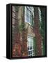 Hanover Ivy on Dartmouth College Building, New Hampshire, USA-Merrill Images-Framed Stretched Canvas