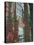 Hanover Ivy on Dartmouth College Building, New Hampshire, USA-Merrill Images-Stretched Canvas