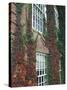 Hanover Ivy on Dartmouth College Building, New Hampshire, USA-Merrill Images-Stretched Canvas