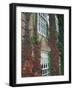 Hanover Ivy on Dartmouth College Building, New Hampshire, USA-Merrill Images-Framed Photographic Print