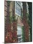 Hanover Ivy on Dartmouth College Building, New Hampshire, USA-Merrill Images-Mounted Photographic Print