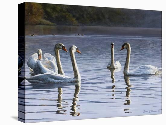 Hanover Swans Five-Bruce Dumas-Stretched Canvas