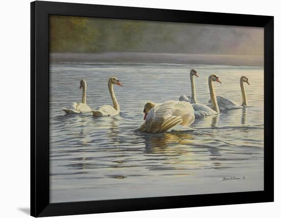 Hanover Swans Six-Bruce Dumas-Framed Giclee Print