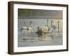 Hanover Swans Six-Bruce Dumas-Framed Giclee Print