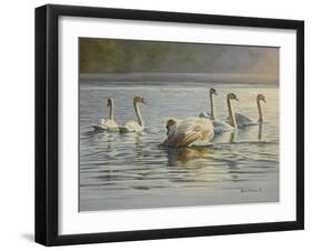 Hanover Swans Six-Bruce Dumas-Framed Giclee Print