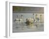 Hanover Swans Six-Bruce Dumas-Framed Giclee Print