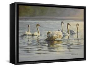 Hanover Swans Six-Bruce Dumas-Framed Stretched Canvas