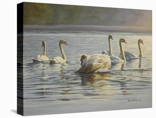 Hanover Swans Six-Bruce Dumas-Stretched Canvas