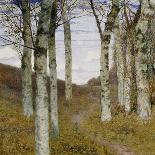 Birch Trees in Autumn, C.1898 (Oil on Wood)-Hans Am Ende-Giclee Print