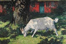 Goat in the Garden, C. 1903-5-Hans Am Ende-Framed Stretched Canvas