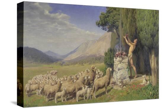 Stretched Canvas Print, , large