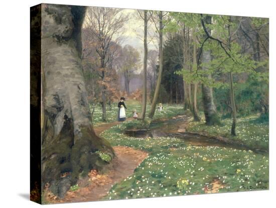 Stretched Canvas Print, , large