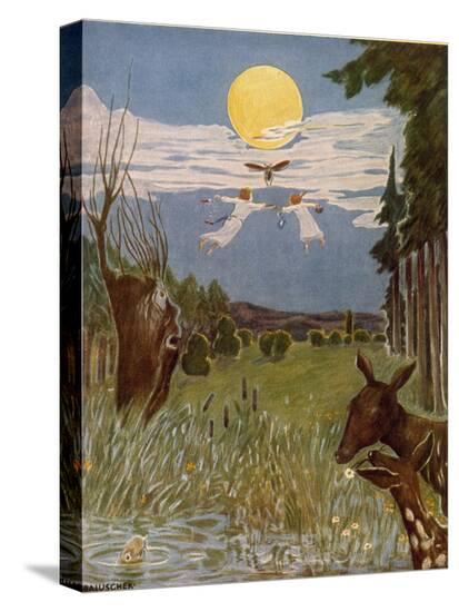 Stretched Canvas Print, , large