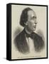 Hans Christian Andersen, the Danish Romance-Writer-null-Framed Stretched Canvas