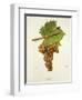 Hans Grape-J. Troncy-Framed Giclee Print