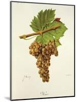 Hans Grape-J. Troncy-Mounted Giclee Print