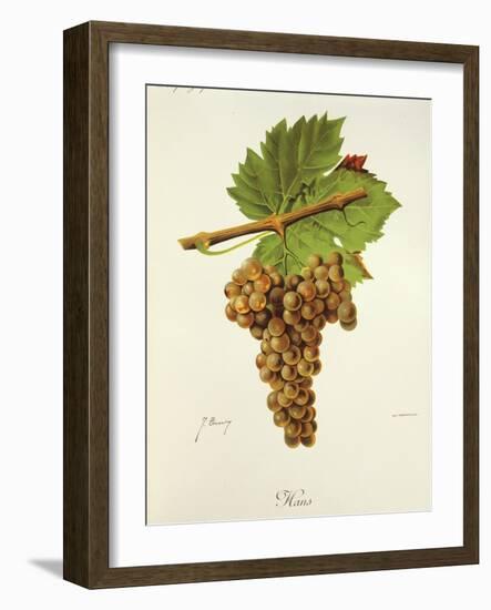 Hans Grape-J. Troncy-Framed Giclee Print