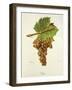 Hans Grape-J. Troncy-Framed Giclee Print