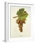 Hans Grape-J. Troncy-Framed Giclee Print