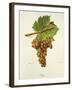 Hans Grape-J. Troncy-Framed Giclee Print