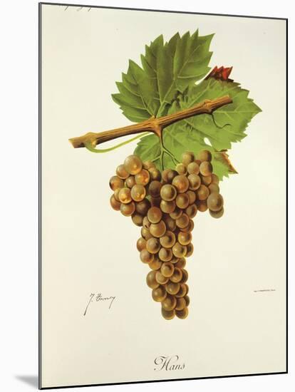 Hans Grape-J. Troncy-Mounted Giclee Print