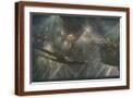 Brown Frame