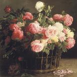 Basket of Roses (detail)-Hans Looscher-Stretched Canvas