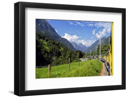 Photographic Print, , large